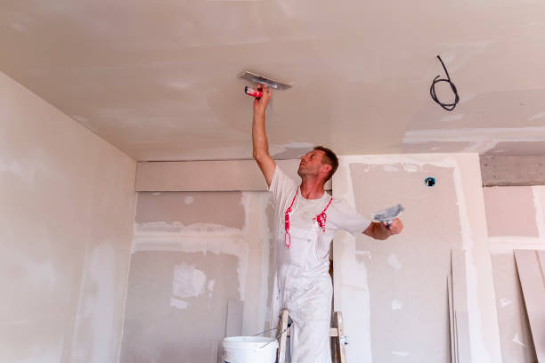  North Highlands, CA Dry wall and painting Pros